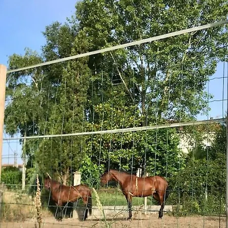 Villa Vivir Galicia A 10 Minutos De Santiago *